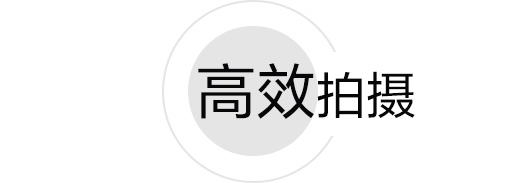 样照欣赏