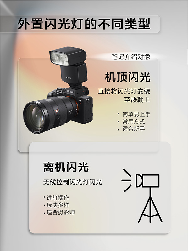 样照欣赏