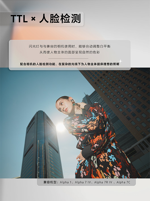 样照欣赏