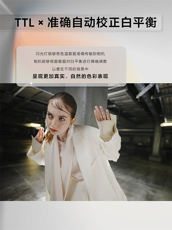 样照欣赏