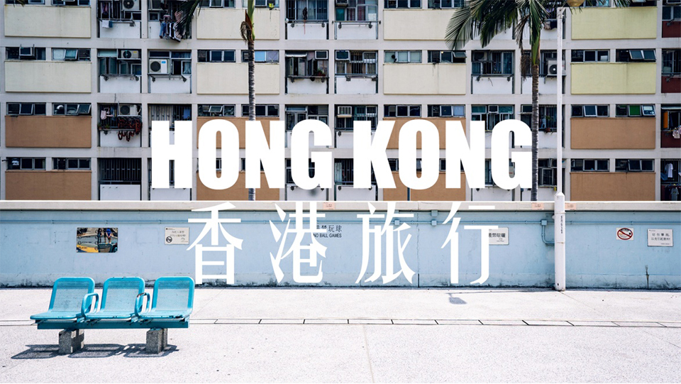 样照欣赏