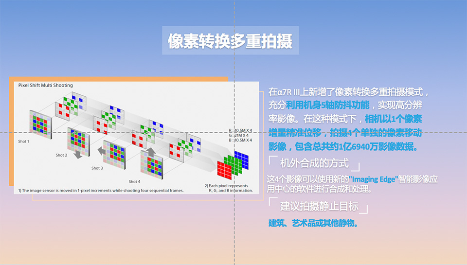 样照欣赏