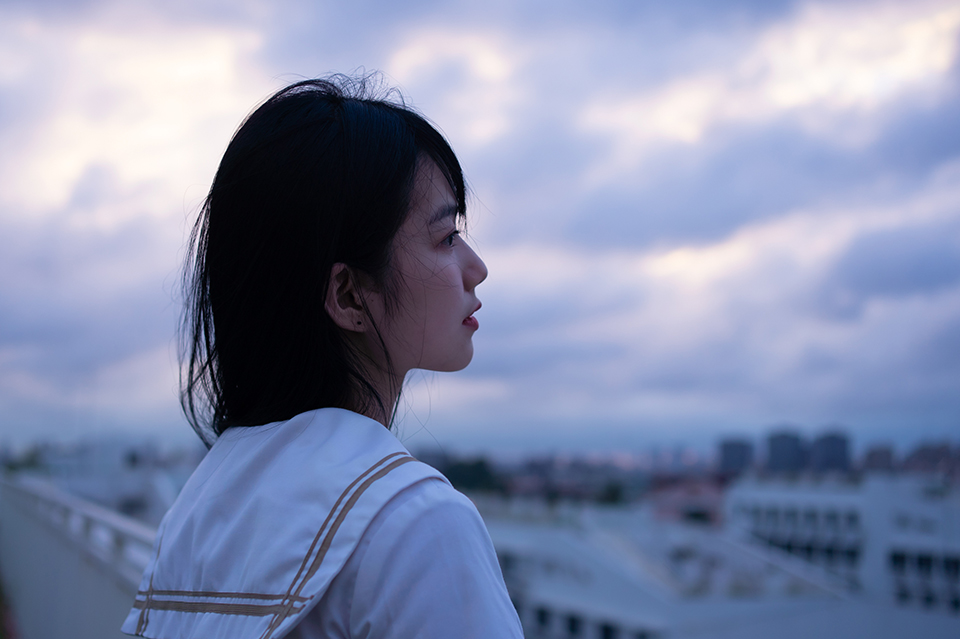 样照欣赏