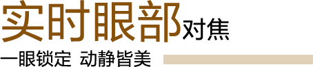 实时眼部对焦 一眼锁定 动静皆美