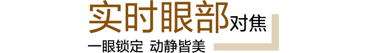 实时眼部对焦 一眼锁定 动静皆美