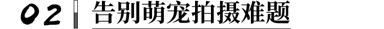 02 告别萌宠拍摄难题
