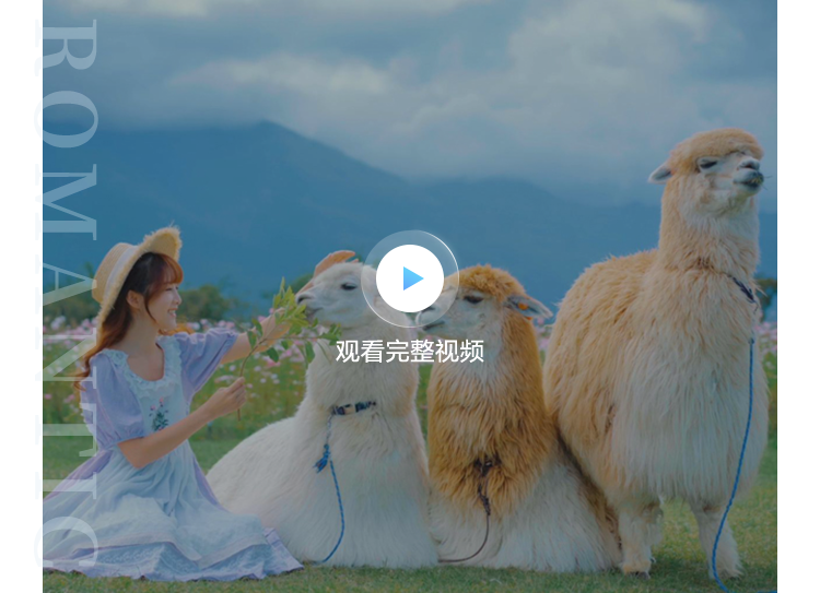 视频播放按钮