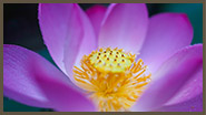 image02