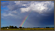 image03