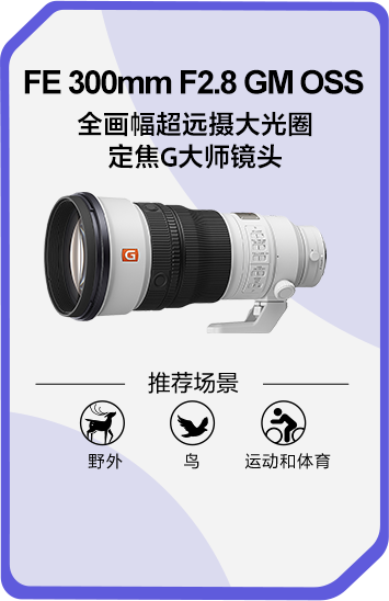 索尼双影像运动拍摄