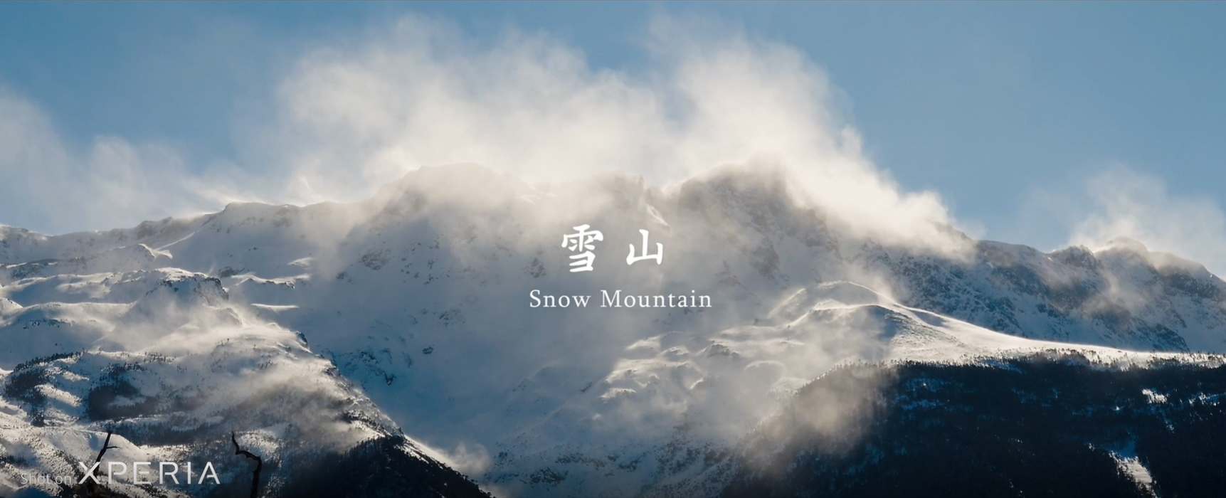 视频背景图片