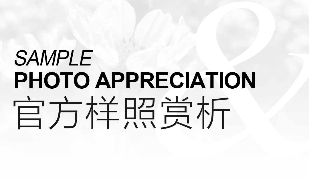 背景图片