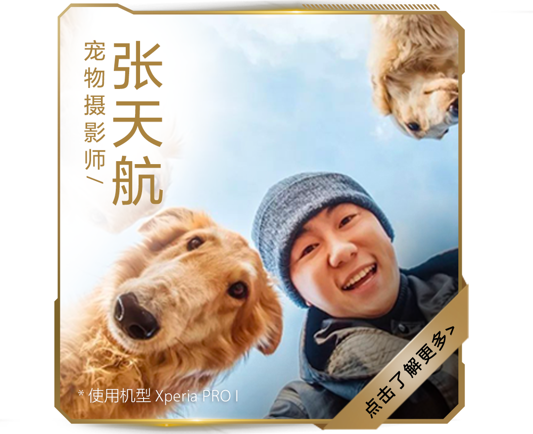 张天航 宠物摄影师