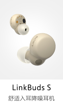 LinkBuds S