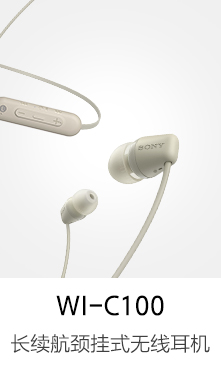 WI-C100