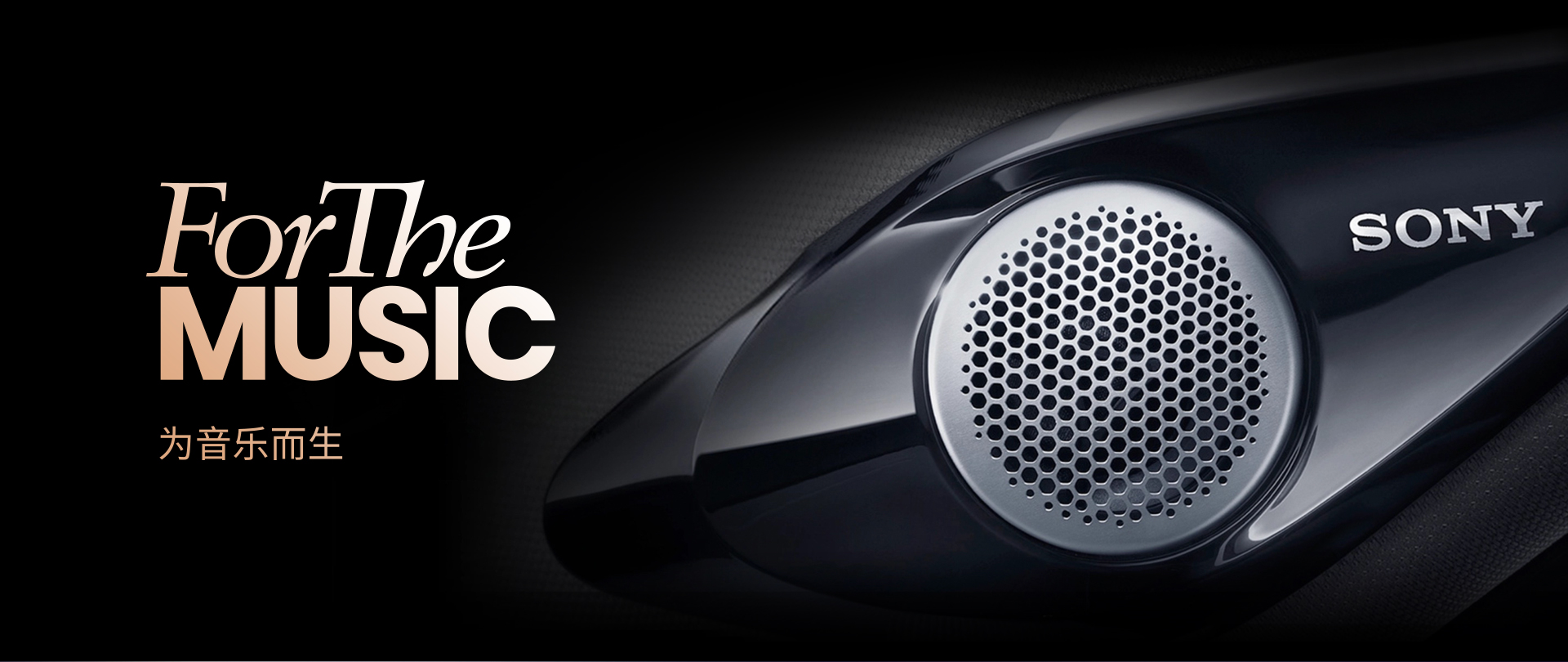 ForTheMusic