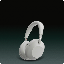 ForTheMusic