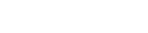 DMP-Z1