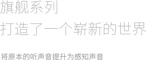 新的声音理念