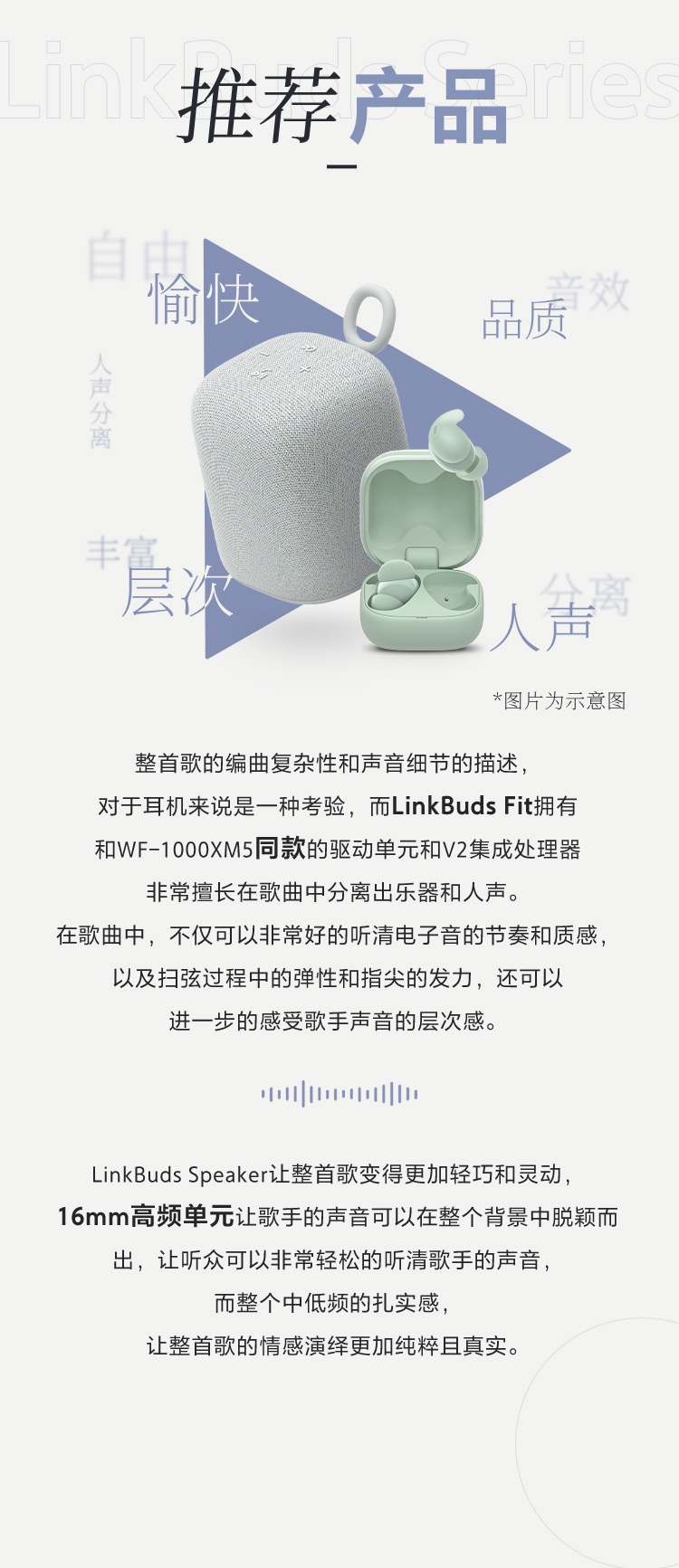 为音乐而生