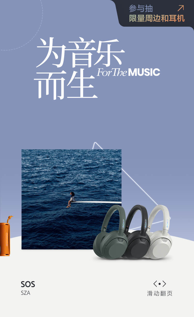为音乐而生