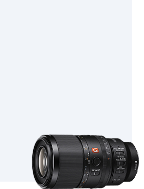 SEL100M28GM - 索尼首款*G大师微距镜头 SEL100M28GM - 索尼首款*G大师微距镜头 - xpfb