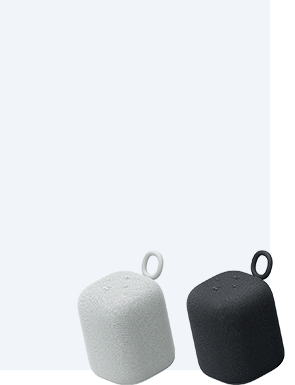 SRS-LS1 - LinkBuds 质感人声蓝牙音箱 SRS-LS1 - LinkBuds 质感人声蓝牙音箱 - xpfb